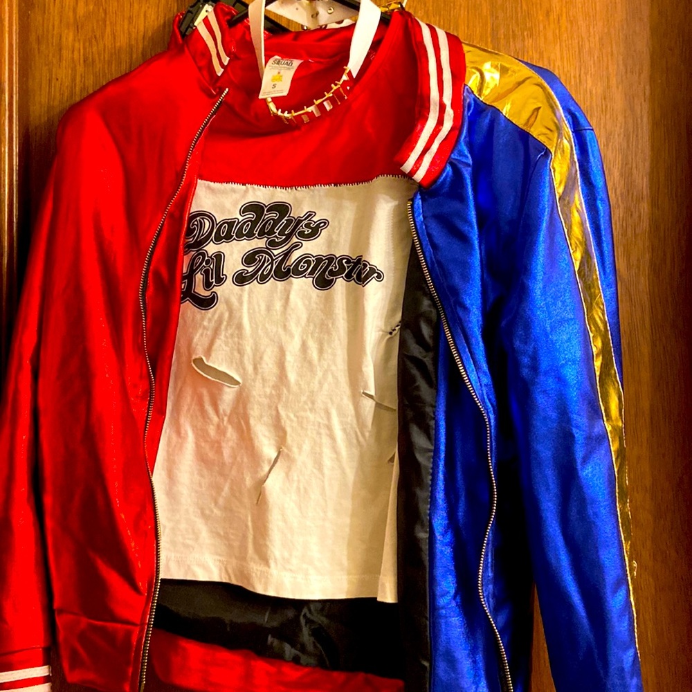 Harley Quinn costume EUC